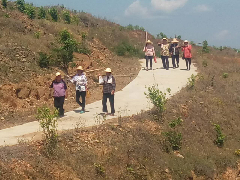 农民工达到除草基地