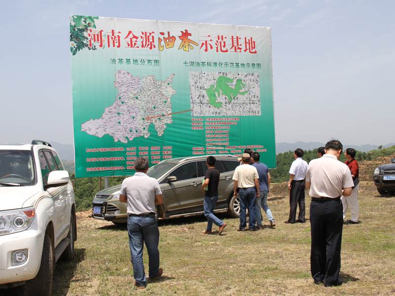 市领导一行莅临油茶基地参观考察