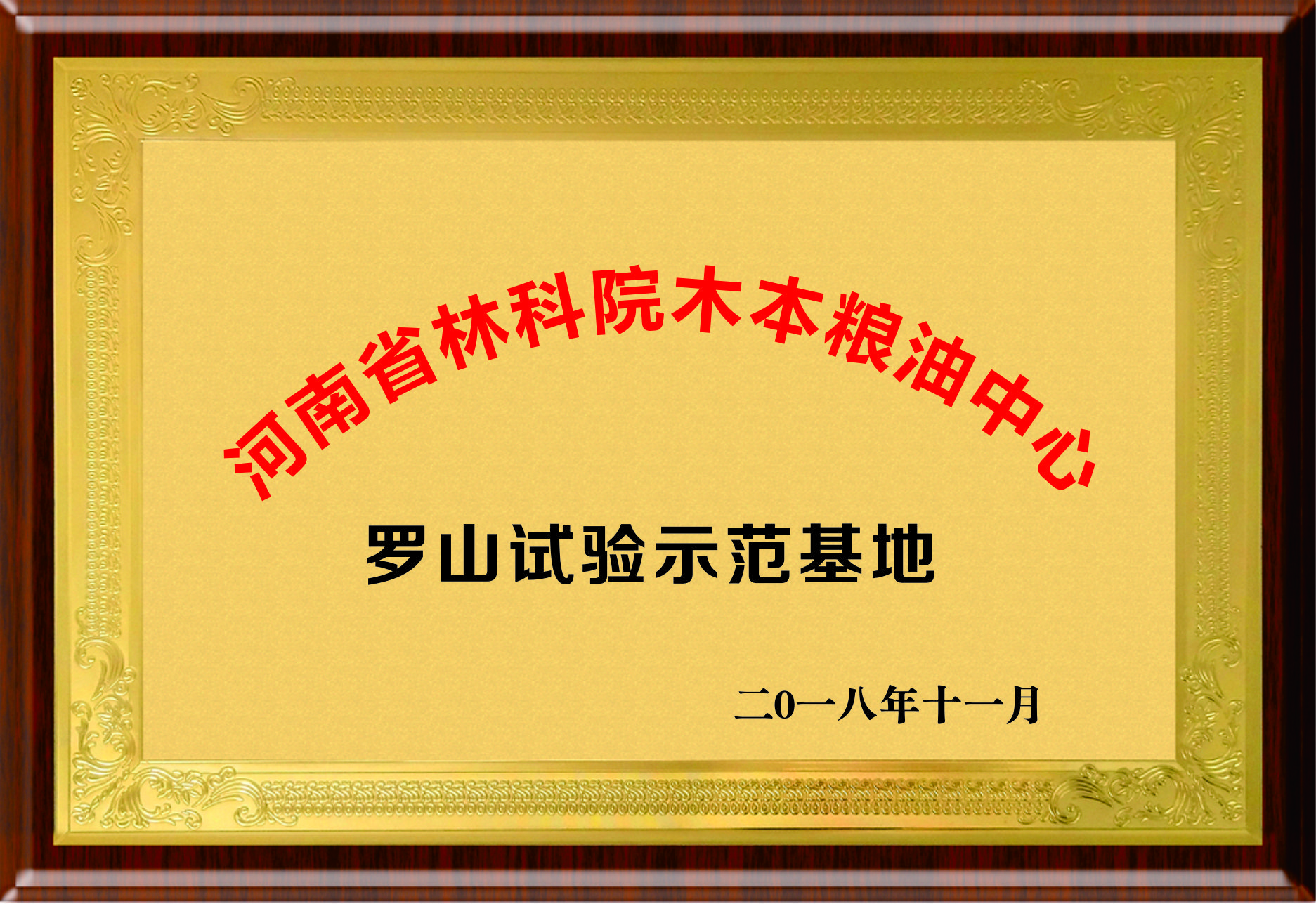 罗山示范试验基地