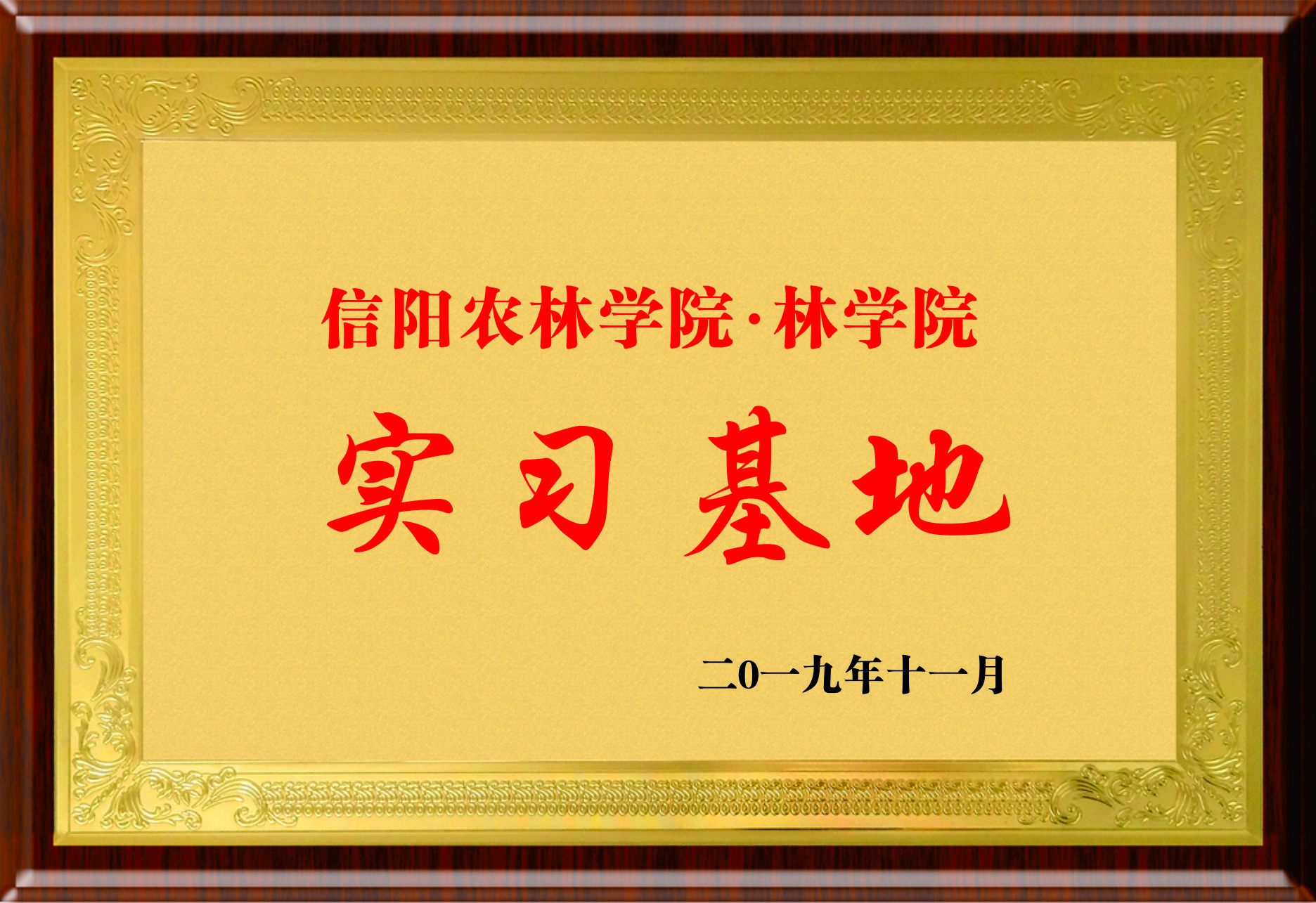 信阳农林学院实习基地