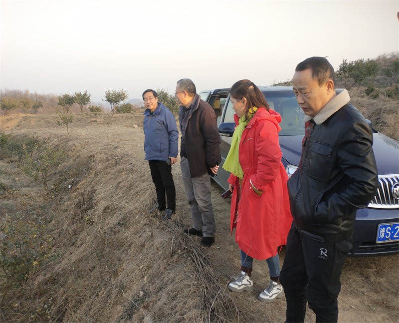 信阳市林茶局副局长闵中华一行到金源油茶基地指导低产林改造