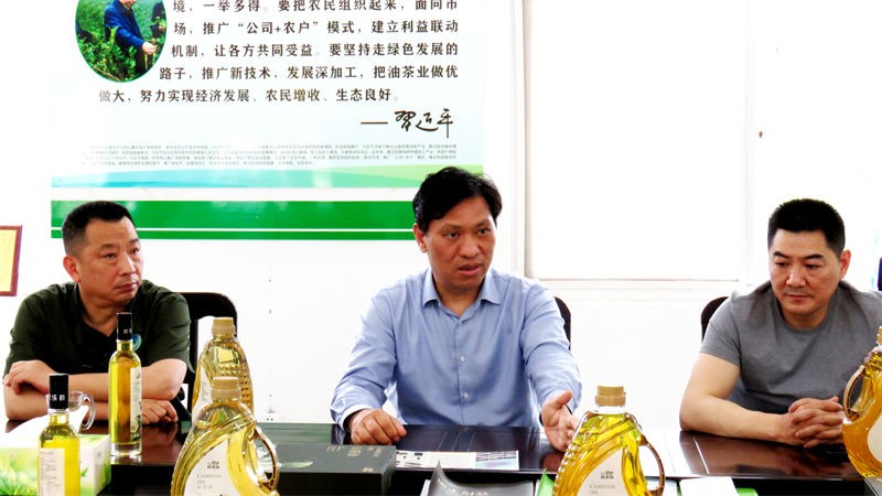 信阳市林茶局局长吴国庆来金源油茶调研油茶发展情况