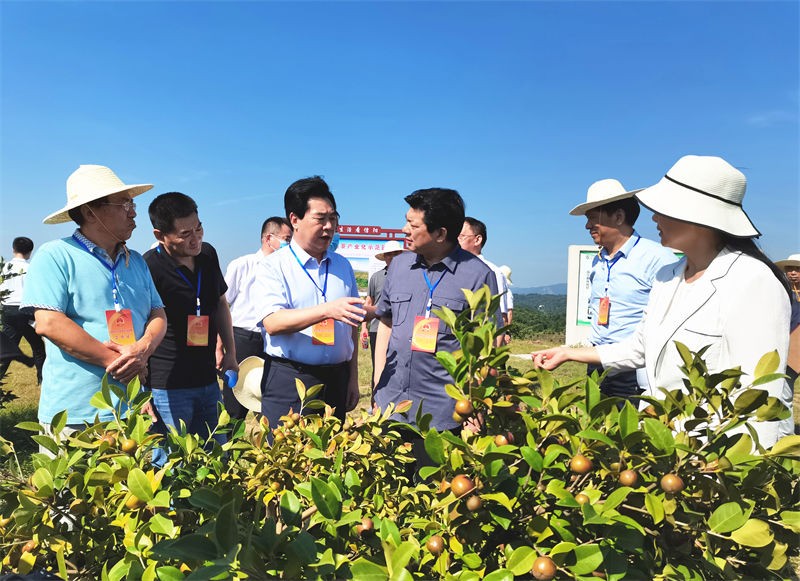 信阳市人大常委会主任谢天学一行到金源调研油茶产业发展情况