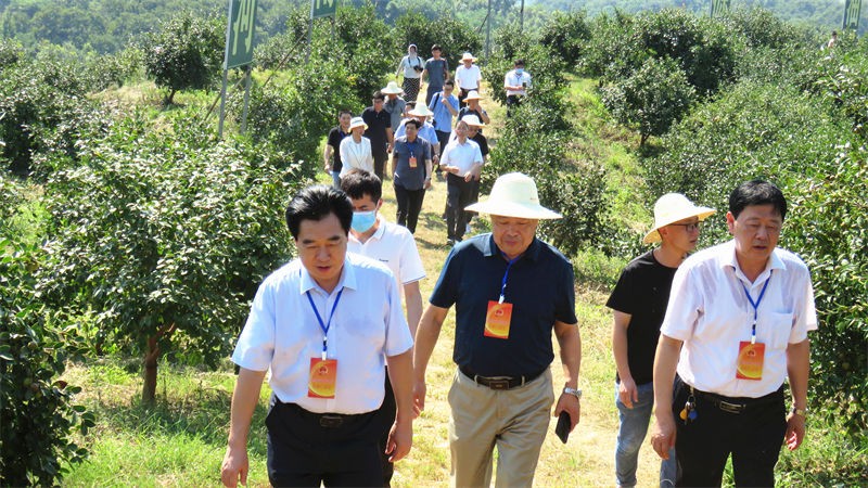 信阳市人大常委会主任谢天学一行到金源调研油茶产业发展情况