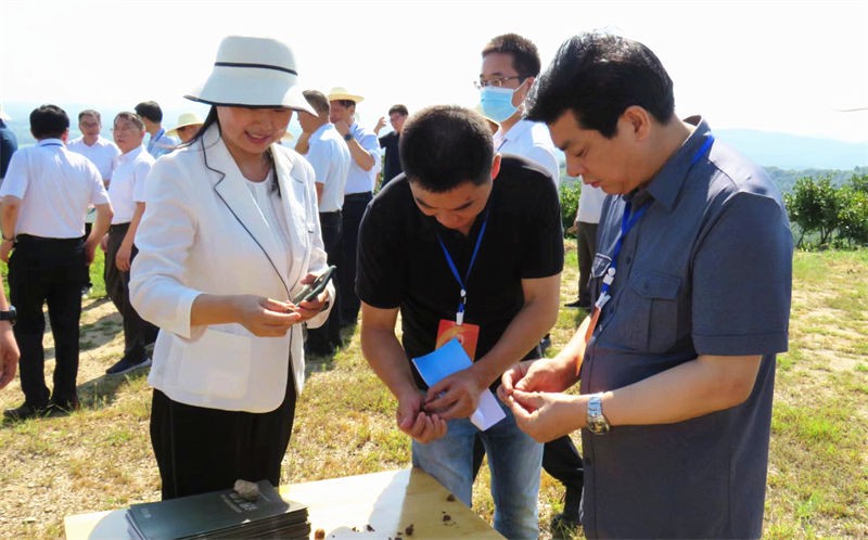 信阳市人大常委会主任谢天学一行到金源调研油茶产业发展情况