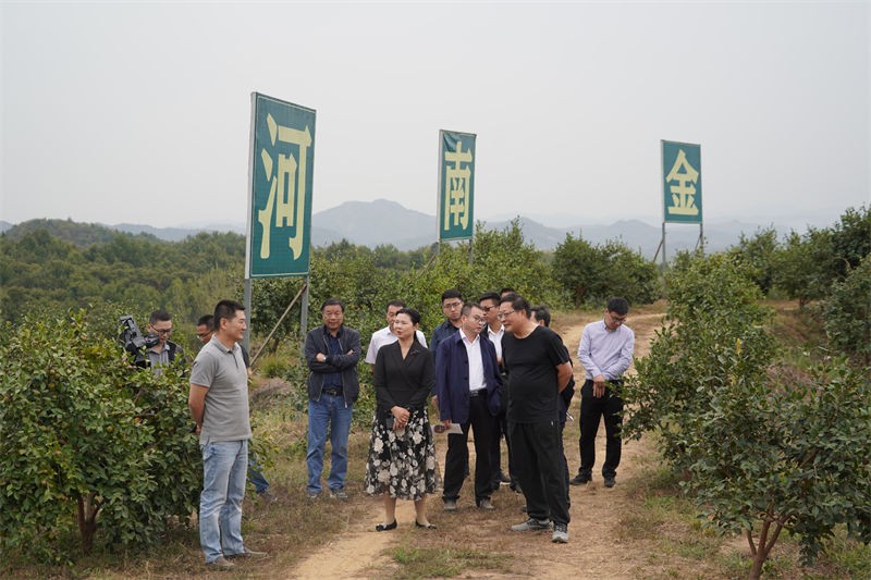 市发改委党组书记、主任梁玉峰一行到金源油茶实地调研