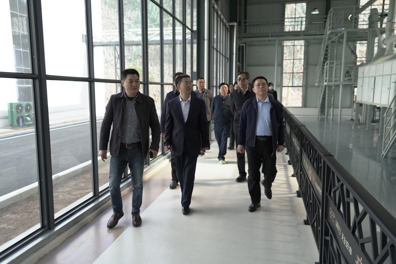 中林集团党委委员、副总经理李留彬到金源油茶考察:聚焦油茶产业一二三产融合发展