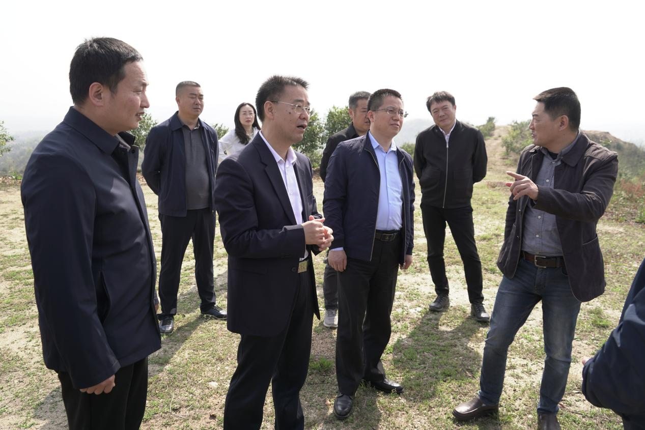 中林集团党委委员、副总经理李留彬到金源油茶考察:聚焦油茶产业一二三产融合发展