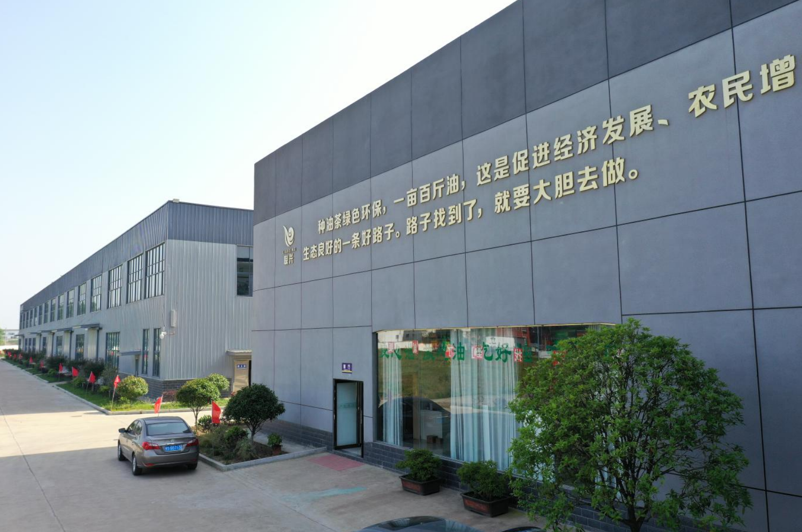 书写“两个更好”出彩答卷｜把油茶业做优做大的信阳之路